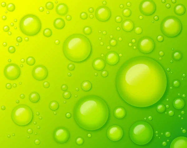 Rain Water Drops on Fresh Green Spring Background — Stock Photo, Image