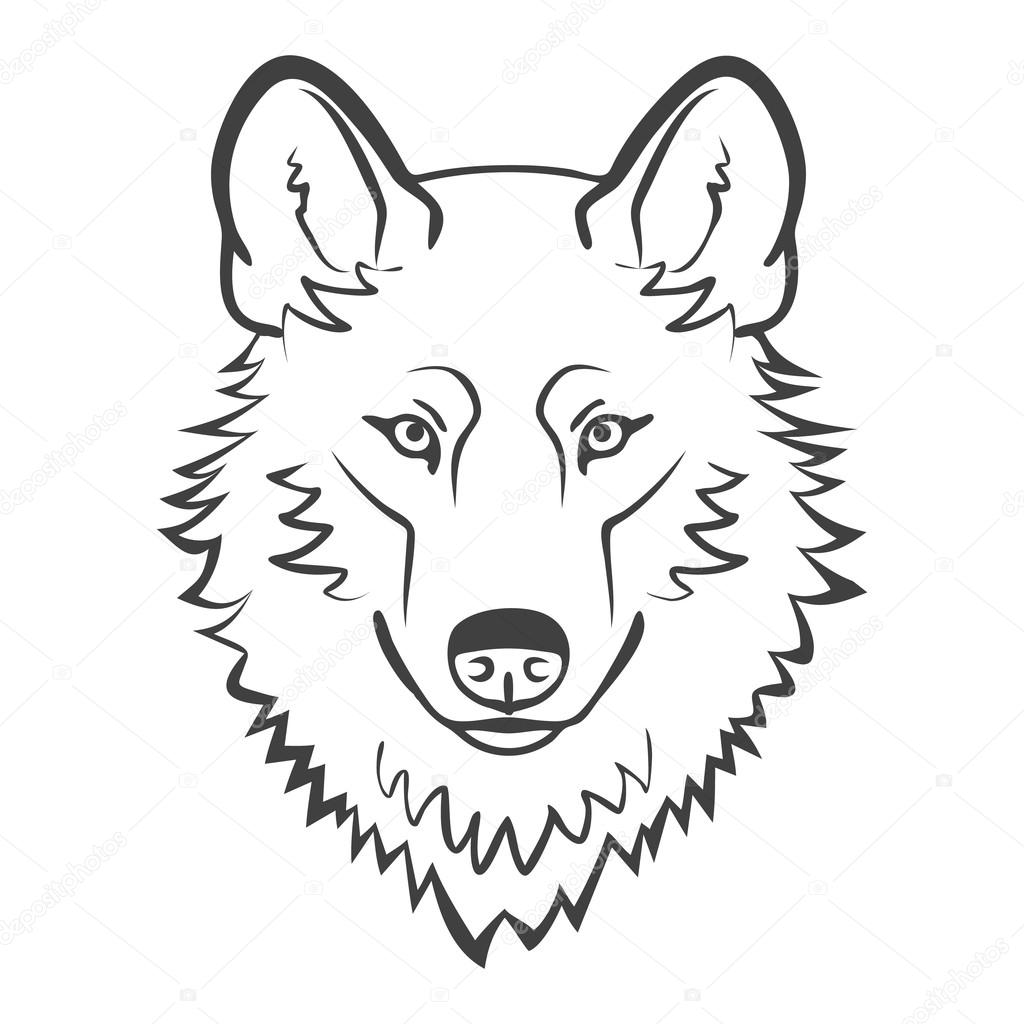 Wolf head Logo Mascot Emblem. Realistic wolf