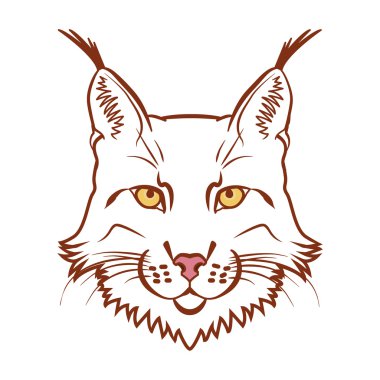 Lynx maskot logosunu görmeniz gerekir. Lynx başkanı vektör illüstrasyon izole