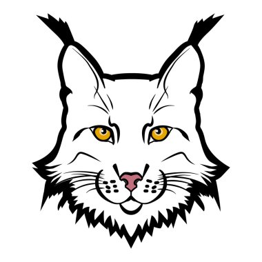 Lynx maskot logosunu görmeniz gerekir. Lynx başkanı vektör illüstrasyon izole