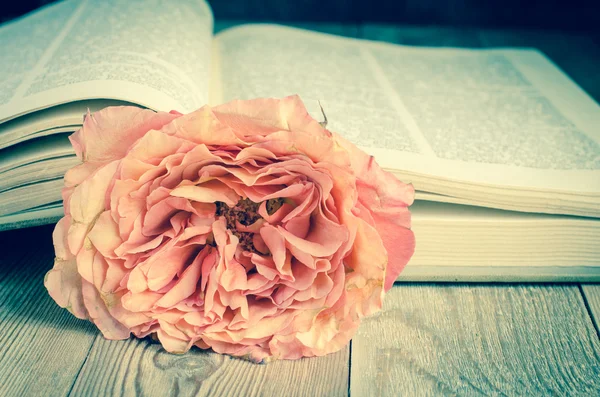 Βιβλίο και ένα τριαντάφυλλο — Φωτογραφία Αρχείου