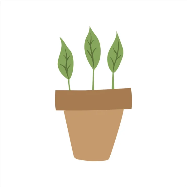 Vaso de flor plana, plantas da casa — Vetor de Stock