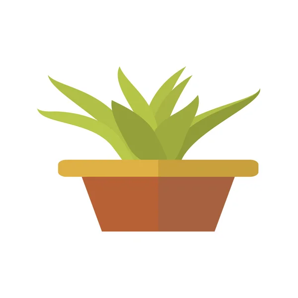 Flache Aloe im Topf, Zimmerpflanze — Stockvektor
