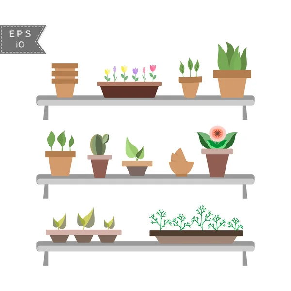 Conjunto de plantas de la casa en macetas en los estantes — Foto de Stock