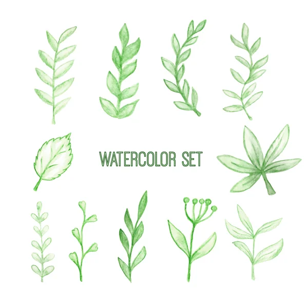 Set of watercolor floral elements — Stock Vector