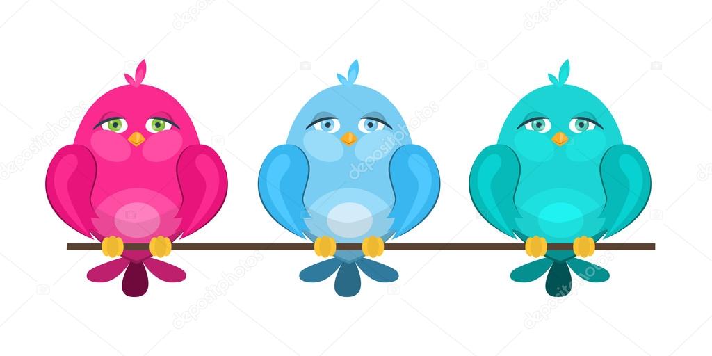 colorful cute birds sitting on a branch