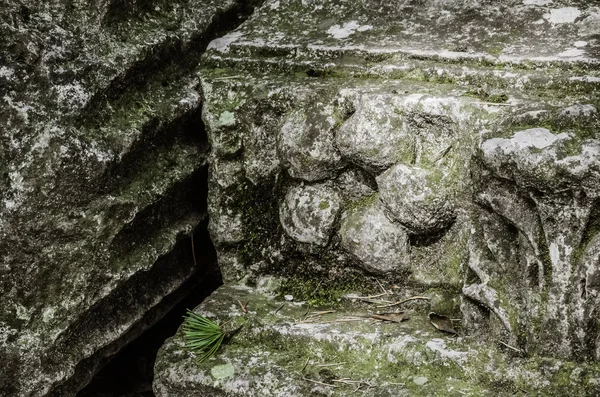 Stone with flower in center. Sharp shot. Background. — Stock Photo, Image