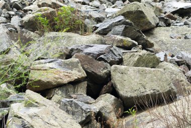 Taş scaterring doku.