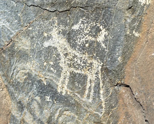 Petroglify w późnej epoce brązu. — Zdjęcie stockowe