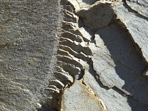 Cuarta parte de un círculo en una piedra como un cortador natural . — Foto de Stock