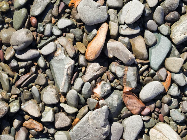Muchas piedras semi-secas diferentes formas y color . — Foto de Stock