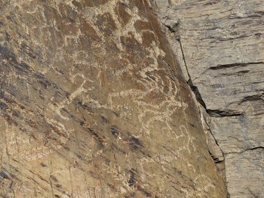 Antik Megalit petroglifler ile karmaşık bir parçası.