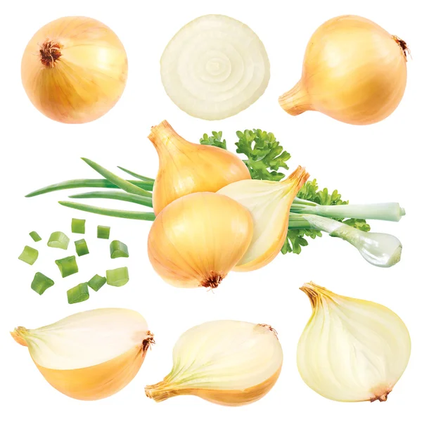 Onion set isolated on white background - stock image — Stock Photo, Image
