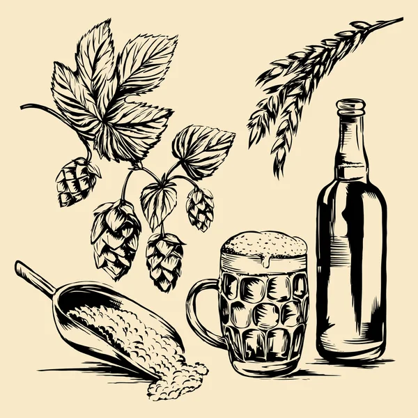 Cerveza y lúpulo. ilustraciones dibujadas a mano — Archivo Imágenes Vectoriales