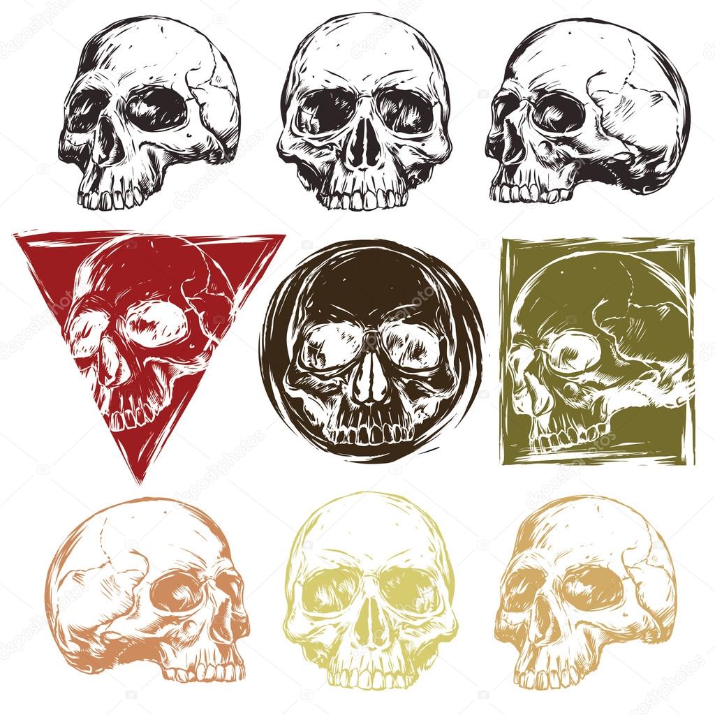 Skulls set. Hand drawn illustrations