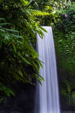 Bali 'de Tibumana şelalesi