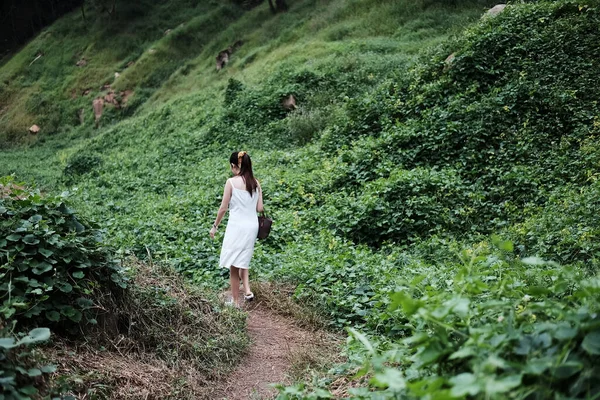 Linda Mulher Asiática Vestido Branco Está Andando Floresta — Fotografia de Stock