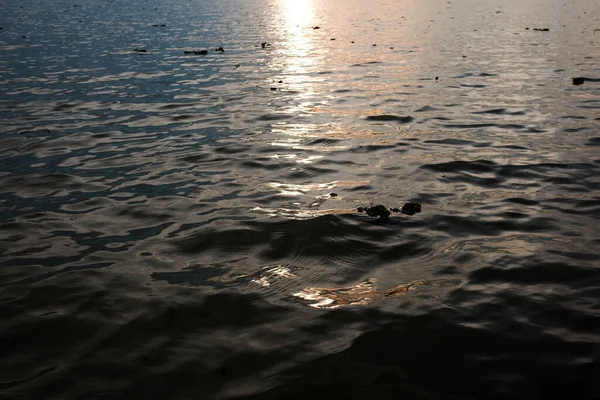 Силуэт Свет Заката Рефлекторный Свет Поверхности Воды Скользящие Волны Реке — стоковое фото