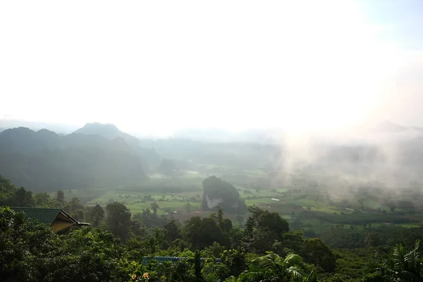 Gyönyörű Táj Viewpoint Völgyben Phu Lang Kha Hegy Köd Zöld — Stock Fotó