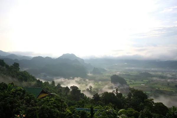 谷のビューポイントの美しい風景 Phu Lang Kha タイの雨季に緑の森の丘の上の山と霧 — ストック写真