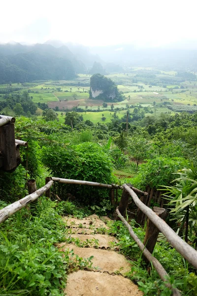 谷のビューポイントのためのコンクリート階段 Phu Lang Kha タイの雨季の山と美しい緑の森 — ストック写真