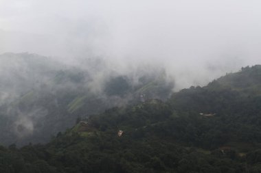 Vadi dağlarındaki ormandaki sis ve sisin varış yeri ve cenneti. Tayland 'daki tropikal yağmur ormanlarının hava manzarası.