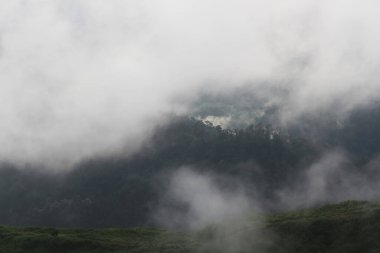 Vadi dağlarındaki ormandaki sis ve sisin varış yeri ve cenneti. Tayland 'daki tropikal yağmur ormanlarının hava manzarası.