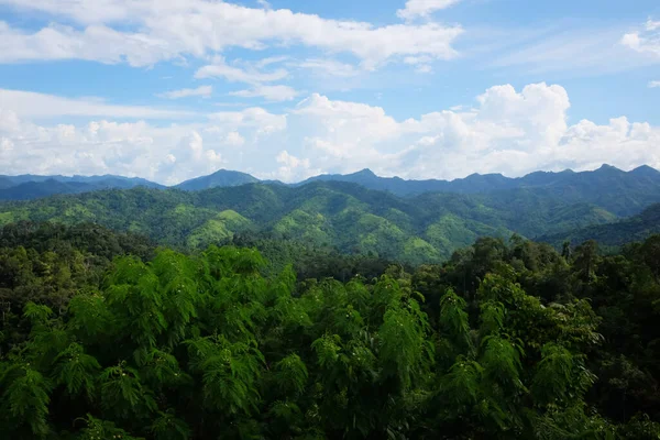 Groen Van Het Regenwoud Vallei Berg Met Wolk Blauwe Hemel — Stockfoto