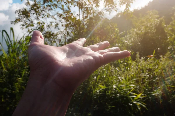 Vrouw Opent Haar Hand Wind Zonnebrand Het Bos Vrijheid Leven — Stockfoto