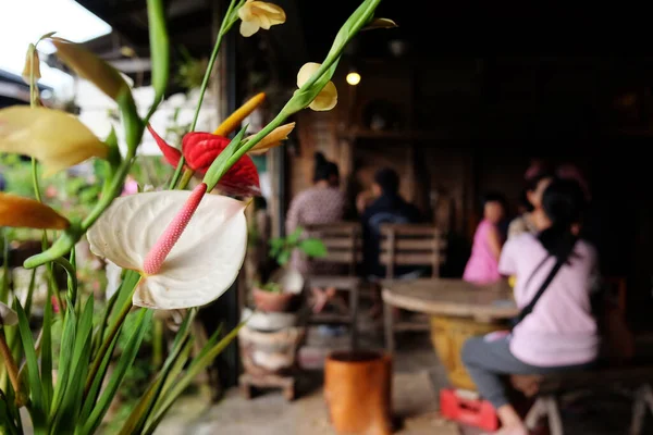 Kanchanaburi Tajlandia Września 2017 Kwitnące Dekoracje Kwiatów Lilii Pokojowej Kawiarni — Zdjęcie stockowe