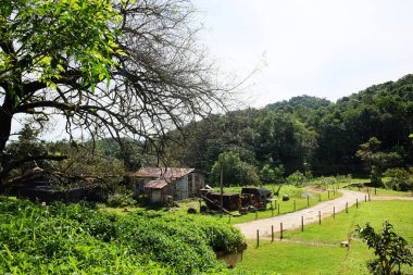 Tayland 'ın kırsal kesimindeki köy parkında eski araba kulübesi ve arızalı ekipman