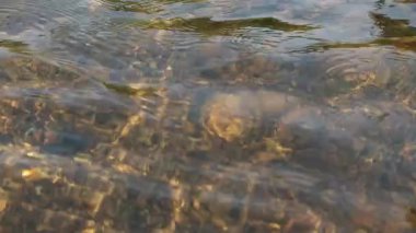 Yüzey suyuna ışık düşen nehrin tazeliği