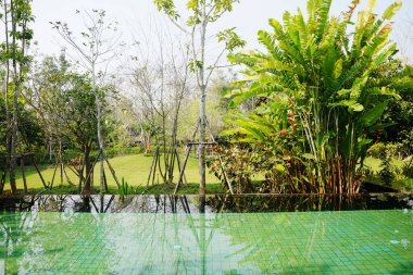 Doğa su yüzeyine yansıyor ve Tayland 'daki tropik tatil beldesi bahçesindeki yüzme havuzunun fayanslarından görülebiliyor.