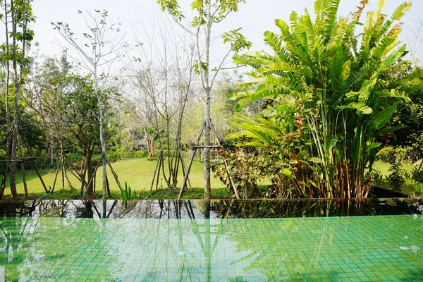 Doğa su yüzeyine yansıyor ve Tayland 'daki tropik tatil beldesi bahçesindeki yüzme havuzunun fayanslarından görülebiliyor.