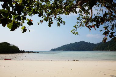 Ulusal Park 'taki Surin adalarında mavi gökyüzü ve tropikal bitkilerle güzel bir deniz manzarası, Tayland' dan Phang Nga