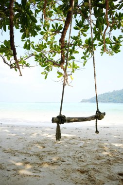 Tahta salıncak Tayland 'da yaz mevsiminde büyük bir ağaçta sallanıyor.