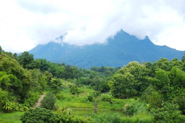 Dağlardaki orman manzarası yağmur ormanlarındaki kırsal yol ve Tayland 'daki Doi luang Chiang dağı üzerindeki sis örtüsü.