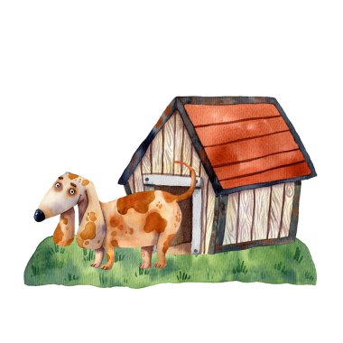 watercolor illustration of a cute funny dog,  Friendship pets characters, dog near doghouse on doghouse on white background  clipart