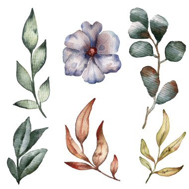 suluboya çiçekleri, yapraklar, pastel renkli çiçekleri olan yumuşak bir arka plan.