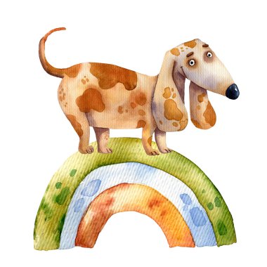 Şirin komik bir köpeğin suluboya çizimi, dostluk evcil hayvan karakterleri, beyaz arka planda gökkuşağının üzerinde duran köpek. 