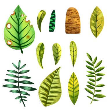 El çizimi tropikal elementler, bitkilerin suluboya çizimi, baskılar ve kartlar için hoş bir illüstrasyon.