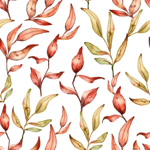Kırmızı yaprakların kusursuz desenli suluboya botanik çizimler. Çizgi film tasviri. Botanik kartı. El yapımı sanat. kırmızı ağaç ögeleri.