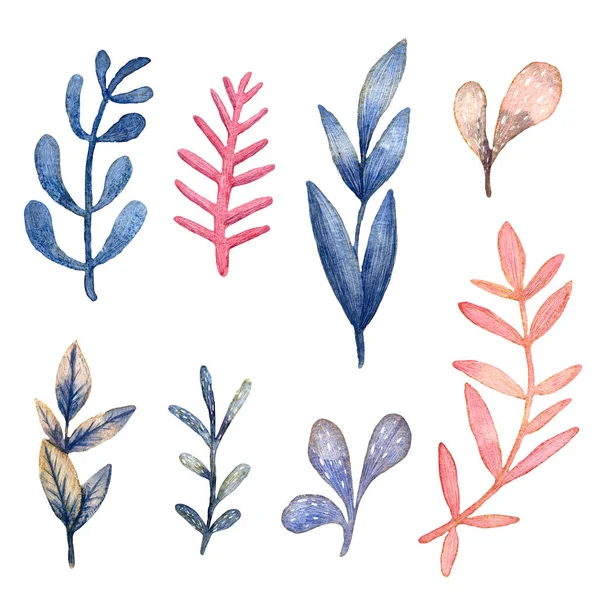 Aquarell Handgezeichnete Illustration Eines Sets Niedlicher Floraler Elemente Botanisches Set — Stockfoto