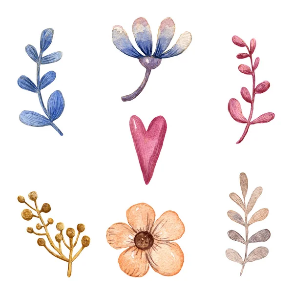 水彩画 一组可爱的花卉图案 用于印刷品和卡片的植物学图案 柔和的图画 — 图库照片