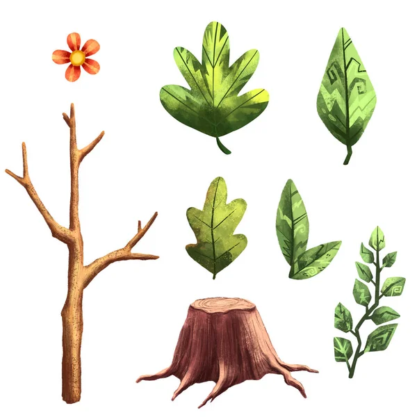 Aquarell Handgezeichnetes Waldset Niedlicher Blumenschmuck Niedliche Zweige Blätter Und Baumstumpf — Stockfoto