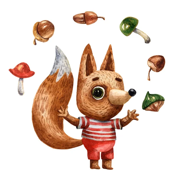 水彩画 一只可爱的狐狸穿着条纹T恤 背景为白色 长着蘑菇和橡果 — 图库照片