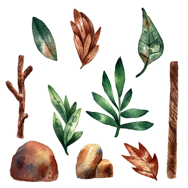 Aquarell Set Aus Handgezeichneten Waldelementen Steinen Ästen Und Blättern — Stockfoto