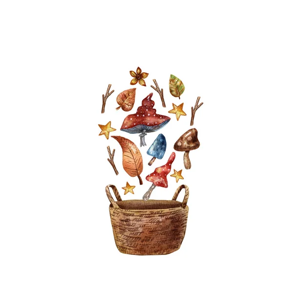 Akwarela Ręcznie Rysowana Ilustracja Jesiennych Liści Dyń Ziół Gałęzi Grzybów — Zdjęcie stockowe