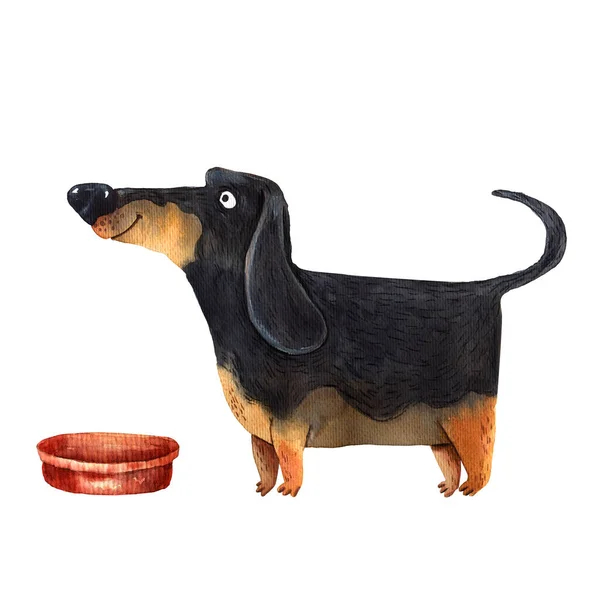 Acuarela Ilustración Lindo Perro Divertido Personajes Mascotas Amistad Perro Sobre — Foto de Stock
