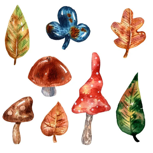 Aquarela Conjunto Desenhado Mão Ícones Outono Cogumelos Folhas — Fotografia de Stock